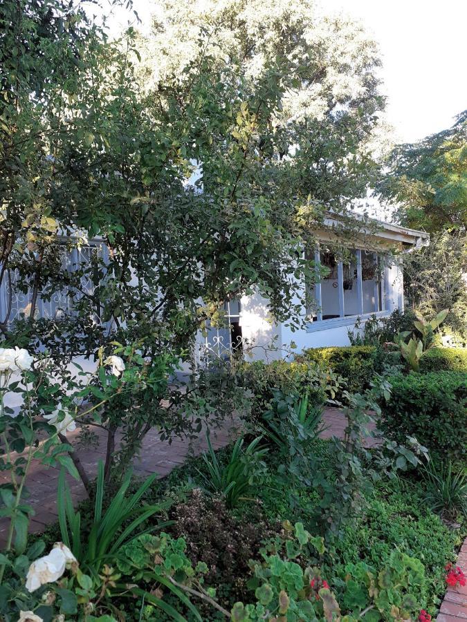 Driftwood Boutique Bed And Breakfast Lobatse Екстериор снимка
